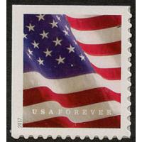 5161 Forever U.S. Flag AP from Booklet Mint  Single #5161nh