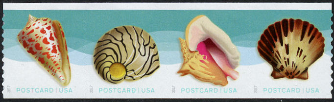 5167-70 Postcard Rate Seashells, Coil PNC of 5 #5167-70pnc5