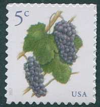 5177 5c Grapes Mint  Single #5177nh