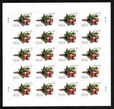 5199 Forever Celebration Boutonniere Mint Sheet of 20 #5199sh