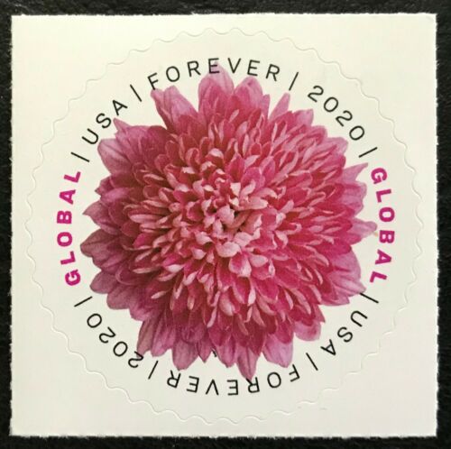 5460 Global Forever Chrysanthemum Mint  Single #5406nh