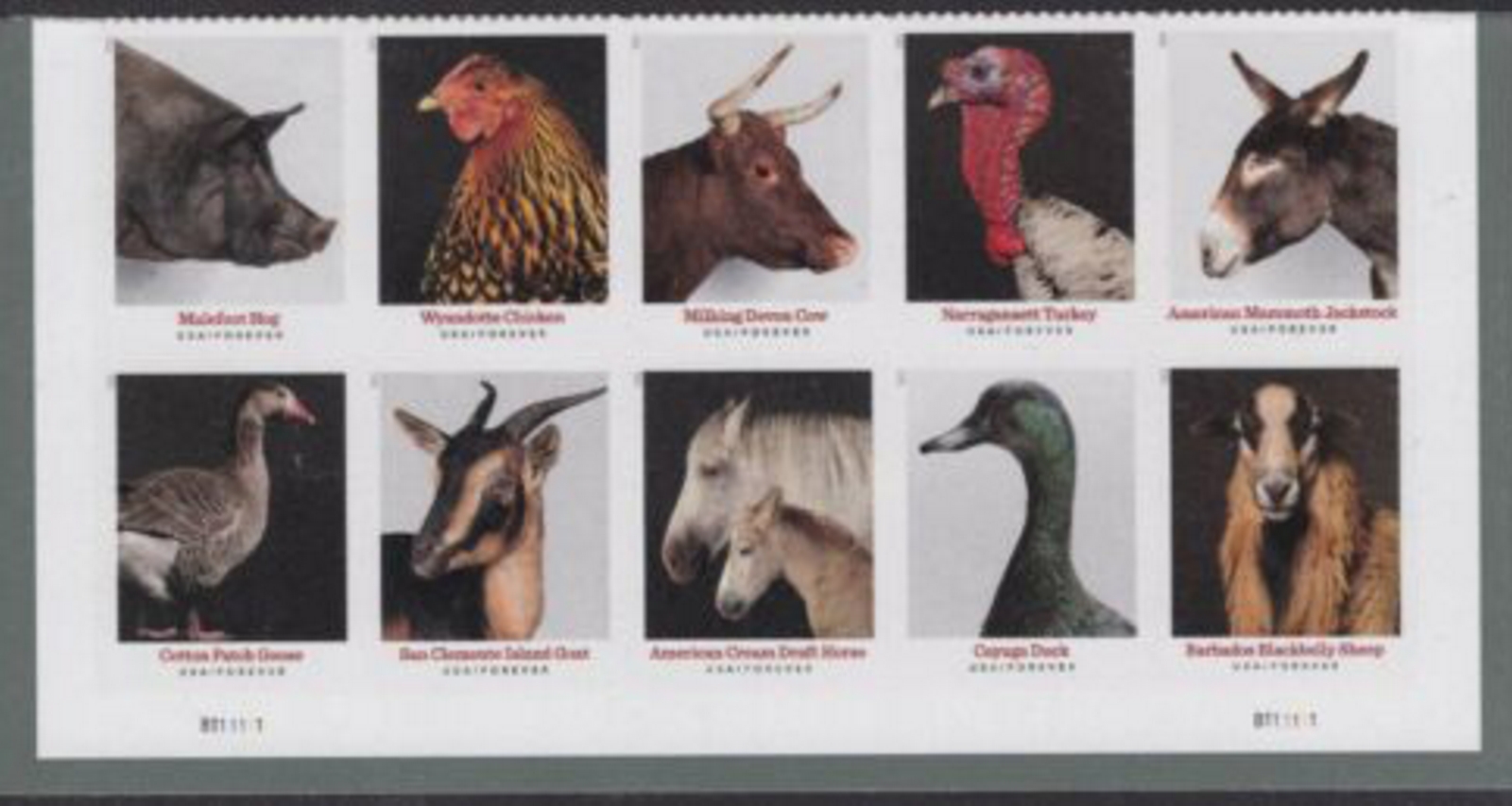 5583-92 Forever Heritage Breeds Mint Plate Block of 10 #5583-92pb10
