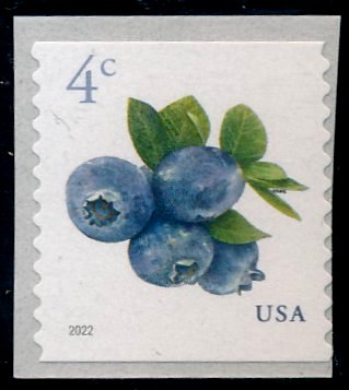 5653nh 4c Blue Berries Mint Coil #5653nh