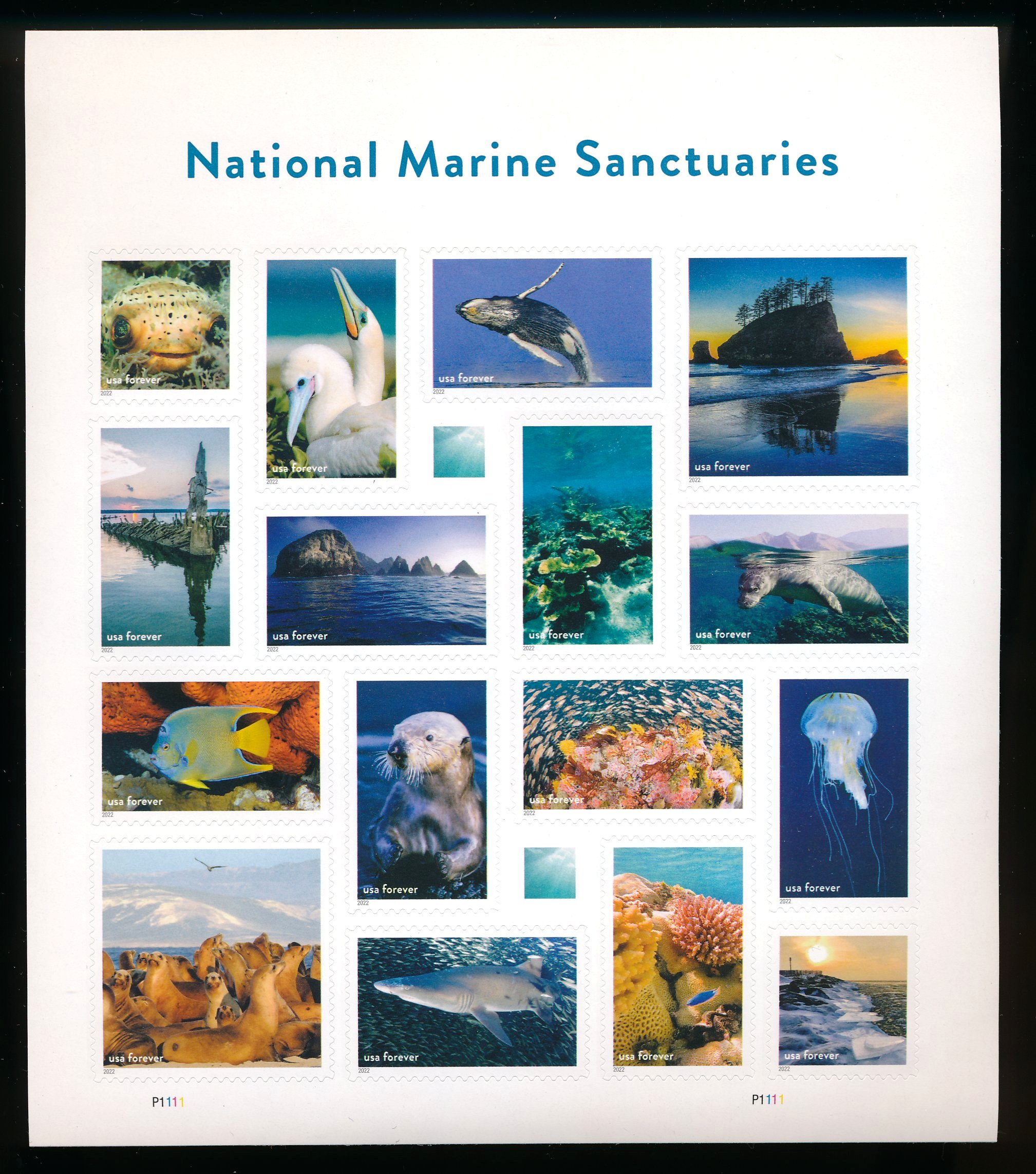 5713 Forever National Marine Sanctuaries Mint Sheet (16) #5713sh