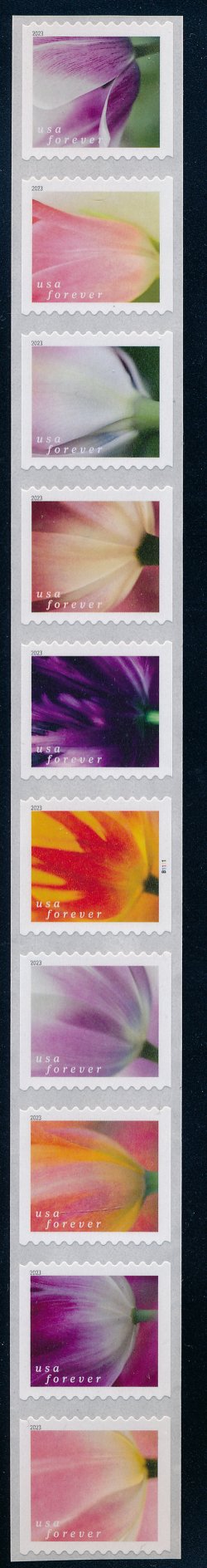 5767-76 Forever Tulip Blossom Mnh PNC of 10 #5767-76pnc