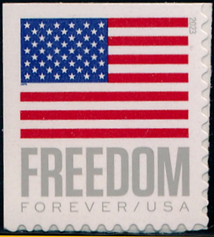 5790 Forever Freedom Flag MNH Single #5790nh