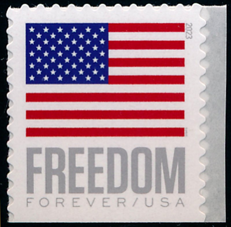5791 Forever Freedom Flag MNH Single #5791nh