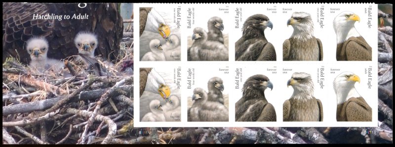 6082-86   .78 Forever Bald Eagle  Mint NH  Plate Block of 10 #6082-86pb