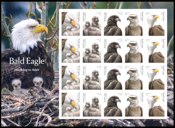 6082-86   .78 Forever Bald Eagle  Mint NH  Sheet of 20 #6082-86sh