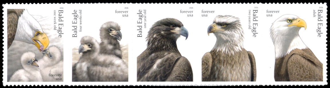 6082-86   .78 Forever Bald Eagle  Mint NH  Strip of 5 #6082-86str