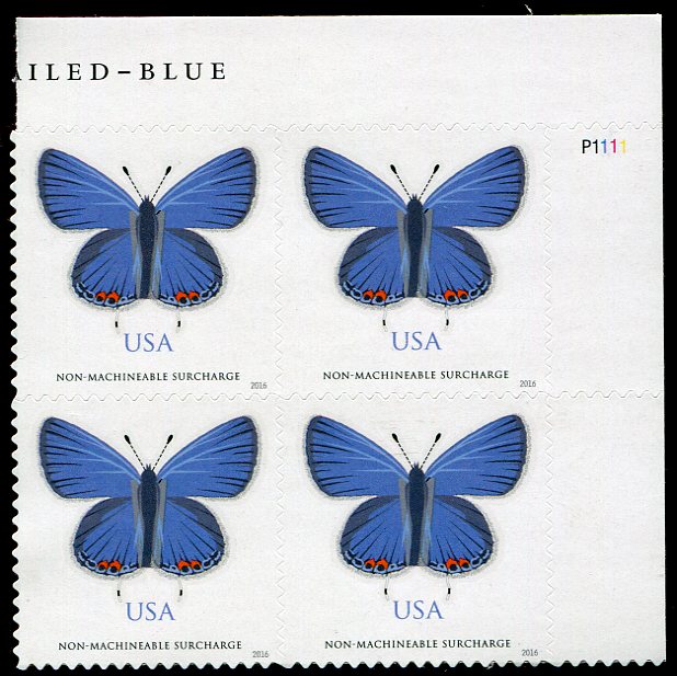 5136 Non Machinable Eastern Tailed-Blue Butterfly Plate Block #5136pb