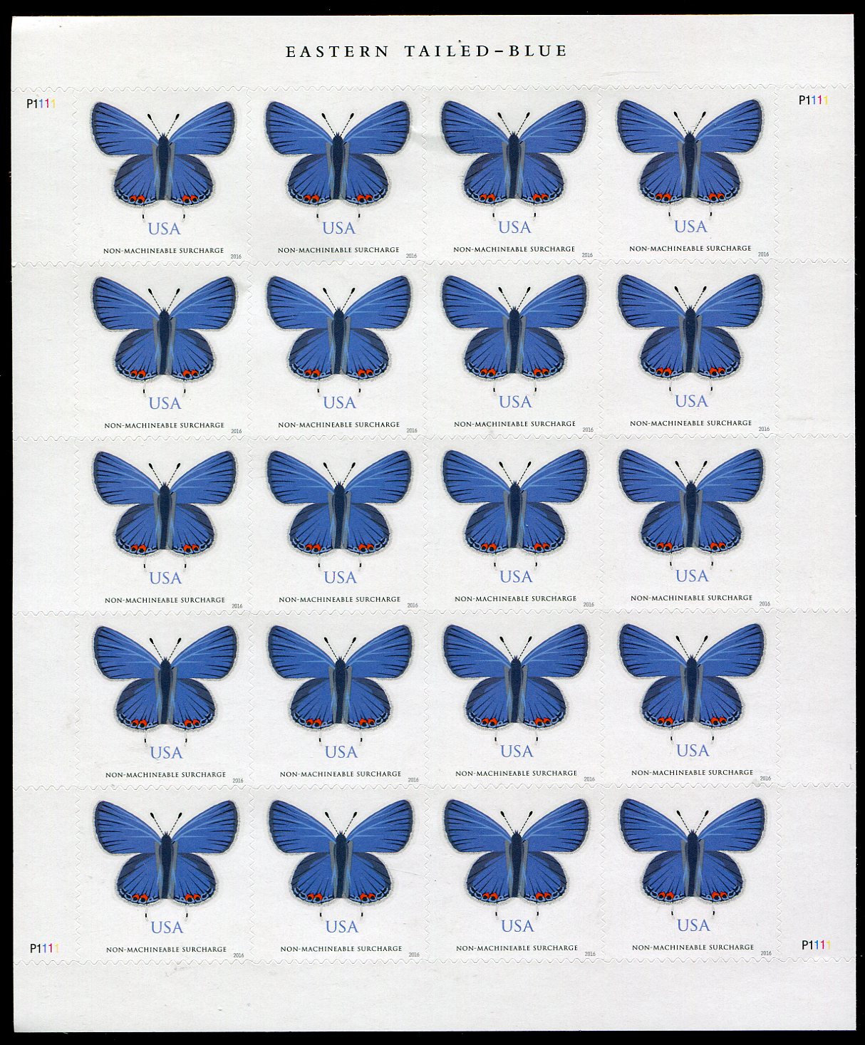 5136 Non Machinable Eastern Tailed-Blue Butterfly Sheet of 20 #5136sh 