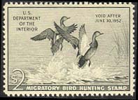RW18 1951 Duck Stamp 2 Gadwalls Used Minor Defects #RW18umd