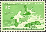 RW24 1957 Duck Stamp 2 Eider Used Minor Defects #RW24umd