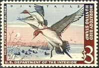 RW29 1962 Duck Stamp 3 Pintail Ducks Unused Minor Defects #rw29ogmd