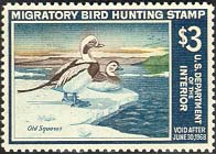 RW34 1967 Duck Stamp 3 Old Squaws Used Minor Defects #rw34umd