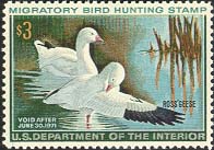 RW37 1970 Duck Stamp 3 Ross's Geese Unused Minor Defects #rw37ogmd