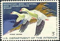 RW44 1977 Duck Stamp 5 Ross's Geese F-VF Mint NH #rw44nh