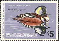 RW45 1978 Duck Stamp 5 Hooded Mergansers Plate Block #rw45pb