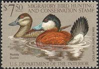 RW48 1981 Duck Stamp 7.50 Ruddy Ducks F-VF Used #rw48used
