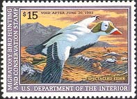 RW59 1992 Duck Stamp 15.00 Spectacled Eider Plate Block #rw59pb