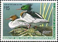 RW61 1994 Duck Stamp 15.00 Merganser  Used #rw61used