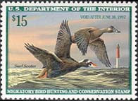RW63 1996 Duck Stamp 15.00 Surf Scoters  Used #rw63used