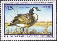 RW64 1997 Duck Stamp 15.00 Canada Goose  Used #rw64used