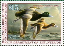 RW66 1999 Duck Stamp 15.00 Greater Scaup Plate Block #rw66pb