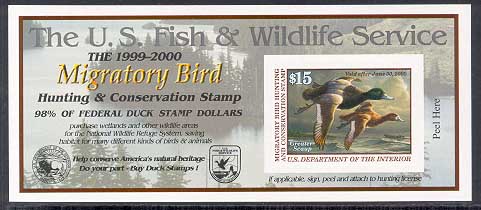 RW66A 1999 Duck Stamp 15.00 Greater Scaup, Self Adhesive #rw66a