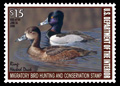 RW74 2007 Duck Stamp 15.00 Ring Neck Ducks VF Mint NH #rw74nh