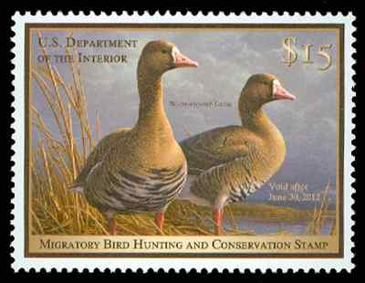RW78 2011 15.00 White Fronted Geese  Used #rw78used