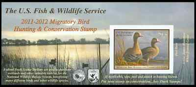 RW78A 2011 15.00 White Fronted Geese Self Adhesive #rw78a