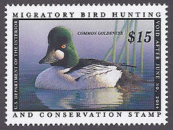 RW80 2013 15.00 Common Goldeneye Duck Stamp  Mint NH #rw80nh