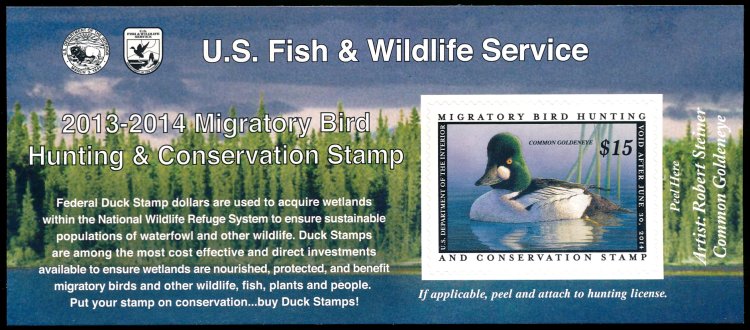 RW80a 2013 15.00 Common Goldeneye Self Adhesive Duck Stamp #rw80anh