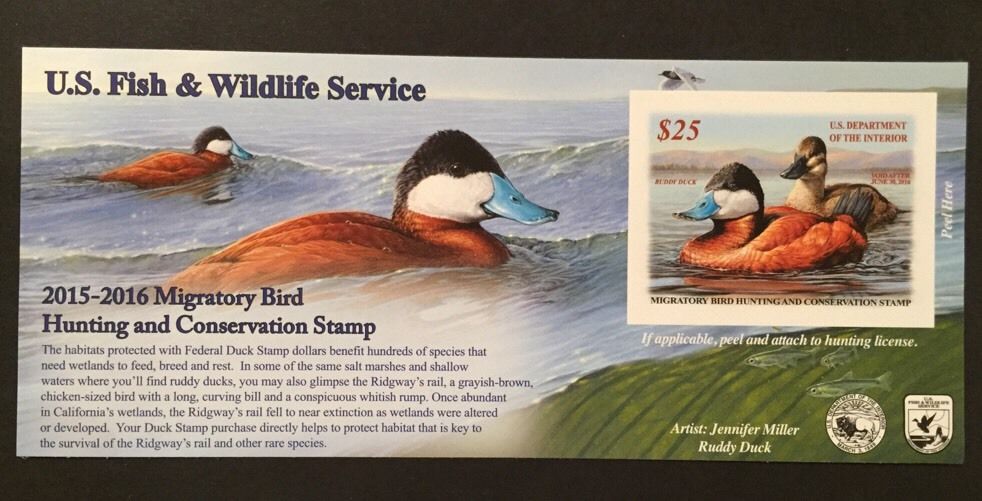 RW82A 2015 25.00 Ruddy Duck Self Adhesive Duck Stamp #rw82A
