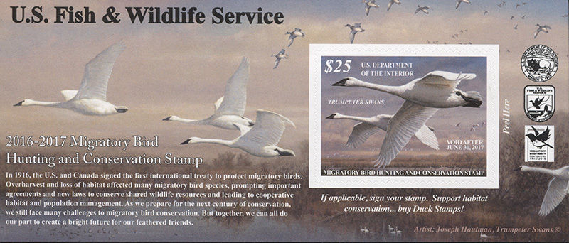RW83A 2016 25 Trumpeter Swans SA Duck Stamp #rw83A