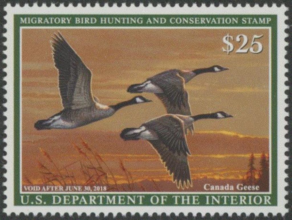 RW84 201725 Canada Geese Duck Stamp F-VF NH #rw84nh