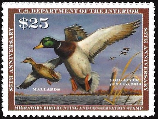RW85 2018 25 Mallards SA Duck Stamp Mint Single #rw85nh