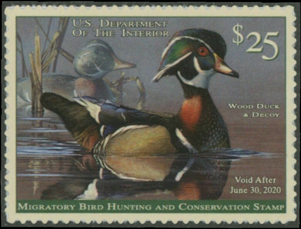 RW86 2019 25 Wood Duck and Decoy Duck Stamp Mint Single #rw86nh