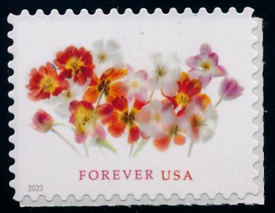 5681nh Forever Tulips Mint Single 5681nh