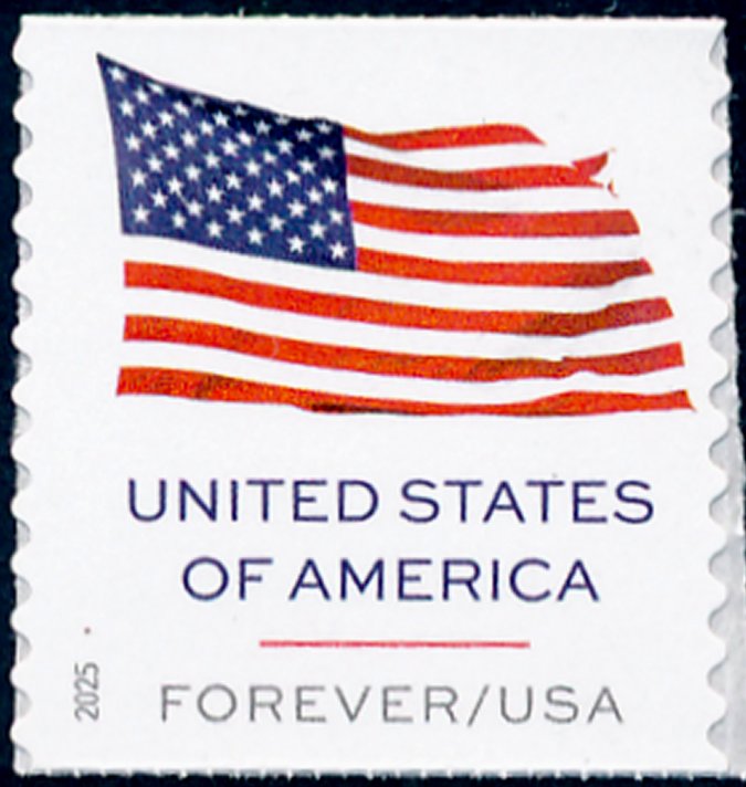 6019 .73 Flag Mint NH Coil Single 6019nh