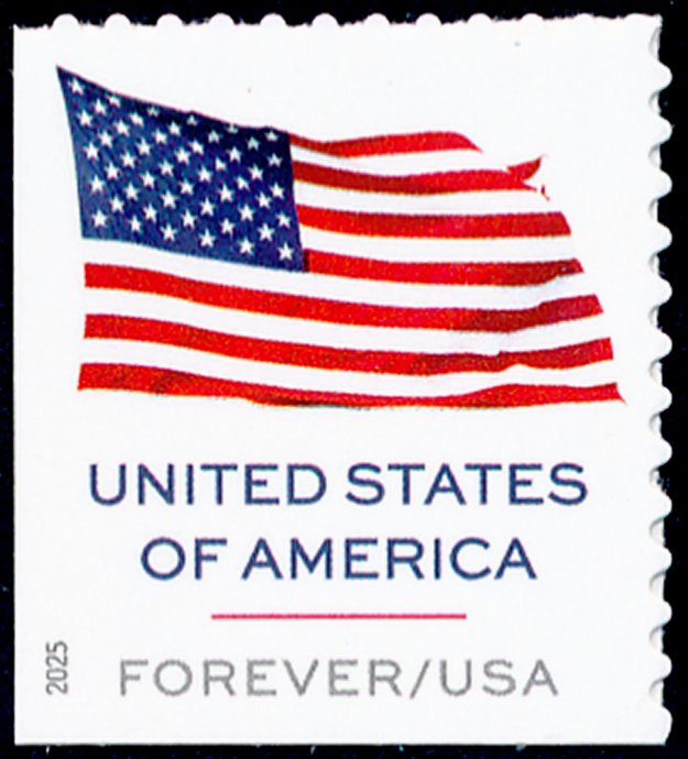 6020 .73 Flag Mint NH Single 6020nh