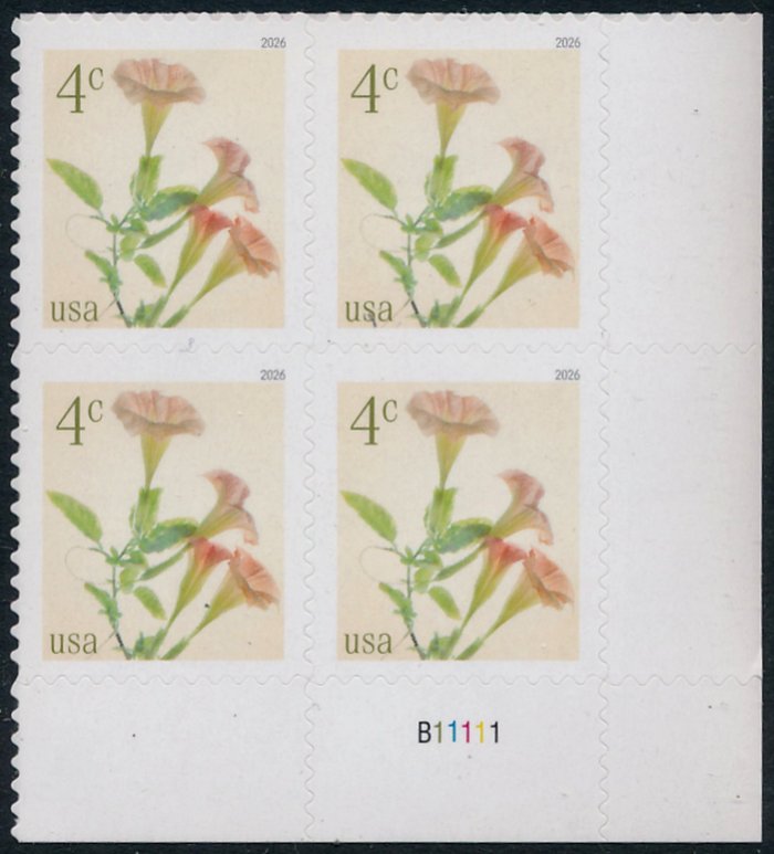 6044   4c Angel's Trumpet  Mint NH Plate Block of 4 6044pb