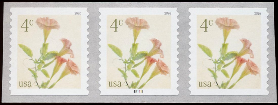 6045   4c Angel's Trumpet  Mint NH Coil PNC of 3 6045pnc