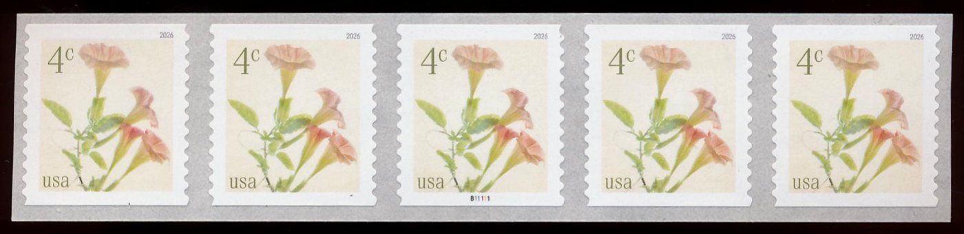6045   4c Angel's Trumpet  Mint NH Coil PNC of 5 6045pnc