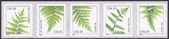 4848-52 49c Ferns, Coil Strip of Five Mint NH 4848-52nh