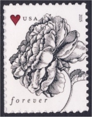 4959 Forever Vintage Rose Used Single 4959used