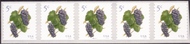 5038 5c Pinot Noir Grapes, Coil PNC of 5 5038pnc5