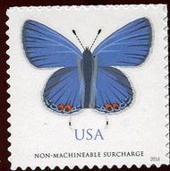 5136 Non Machinable Eastern Tailed-Blue Butterfly Used 5136used
